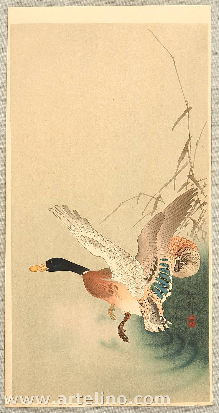 Ohara Koson - Mallard Flying from a Pond