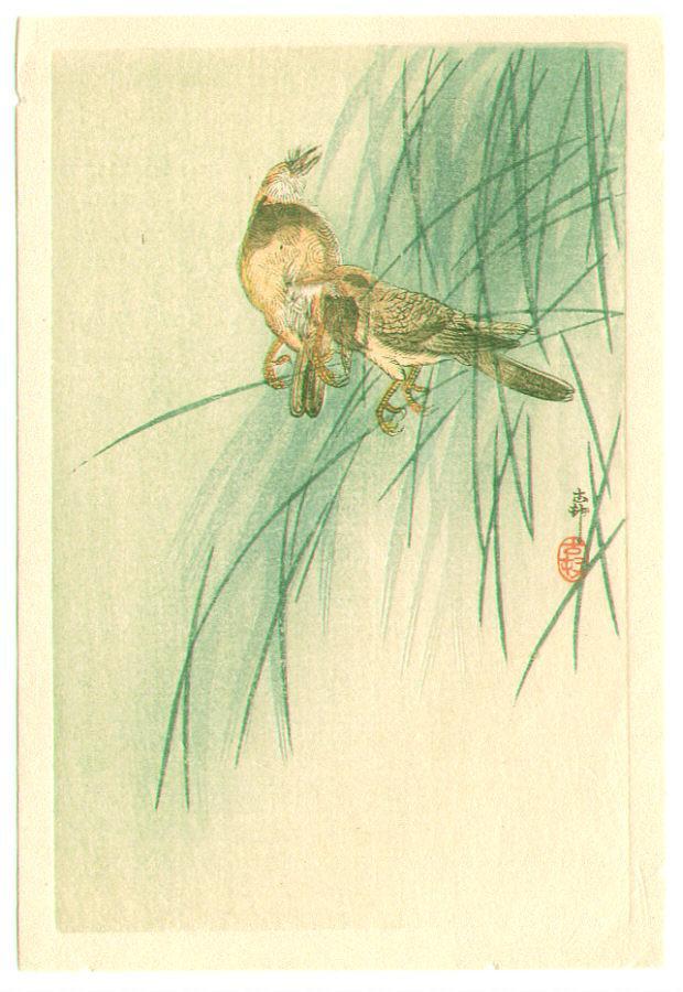Ohara Koson - Two Birds (small print) (Muller Collection)