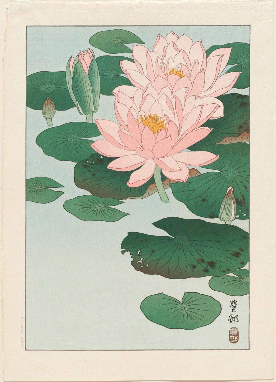 Ohara Koson - Water Lilies