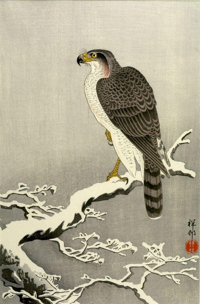 Ohara Koson - Goshawk on Snowy Branch, Late Taishô or early Shôwa period, 1926