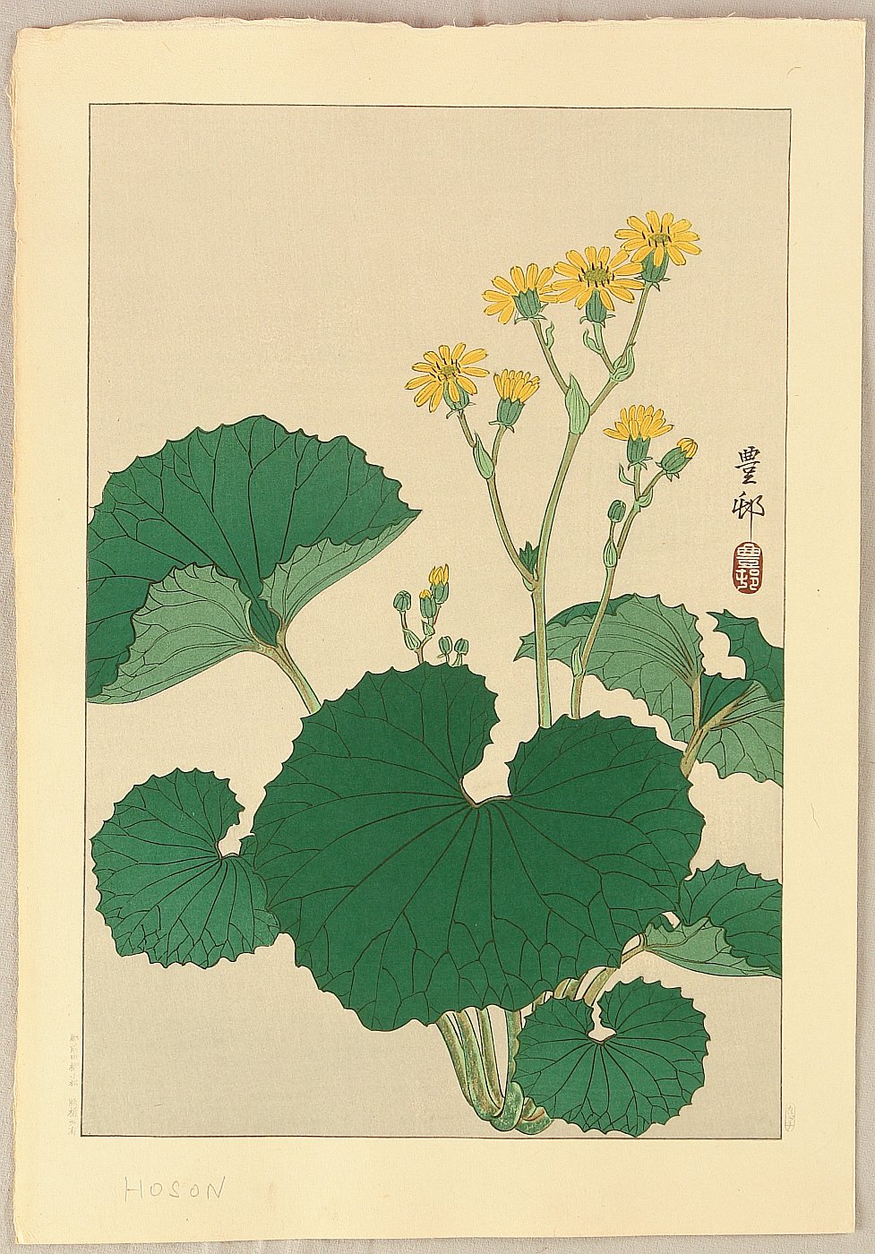 Ohara Koson - Ligularia