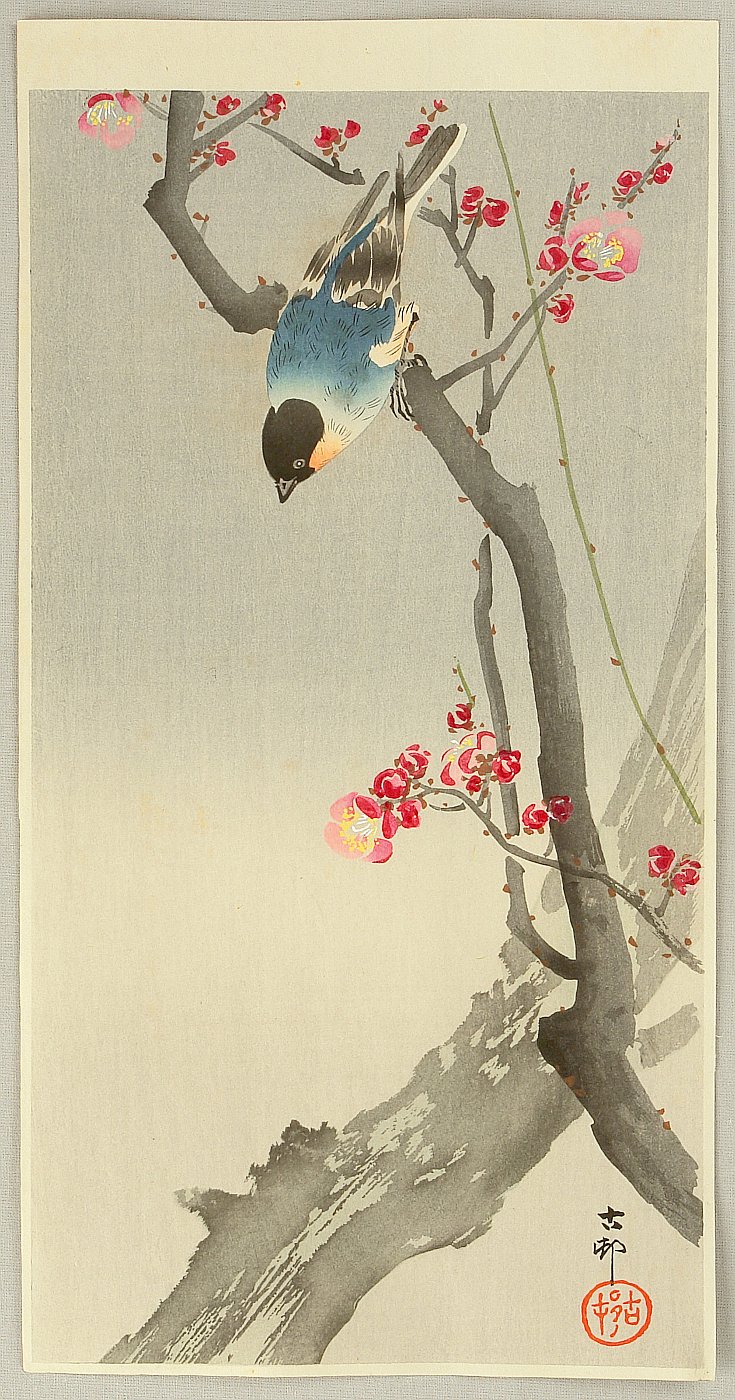 Ohara Koson - Blue Bird on a Plum Tree