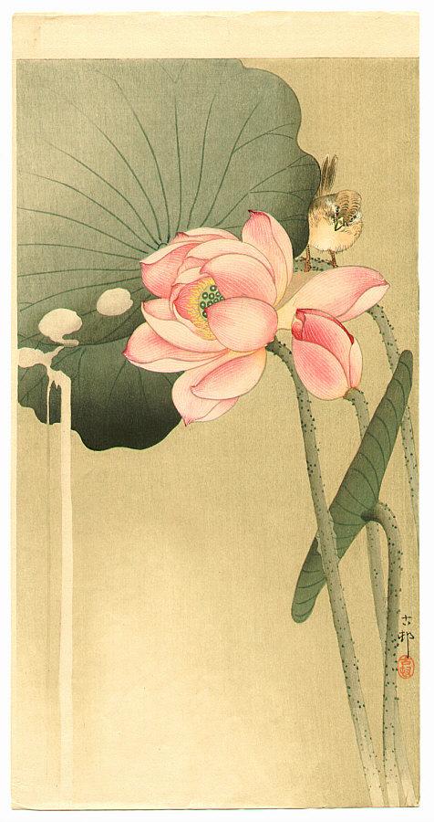 Ohara Koson - Songbird and Lotus