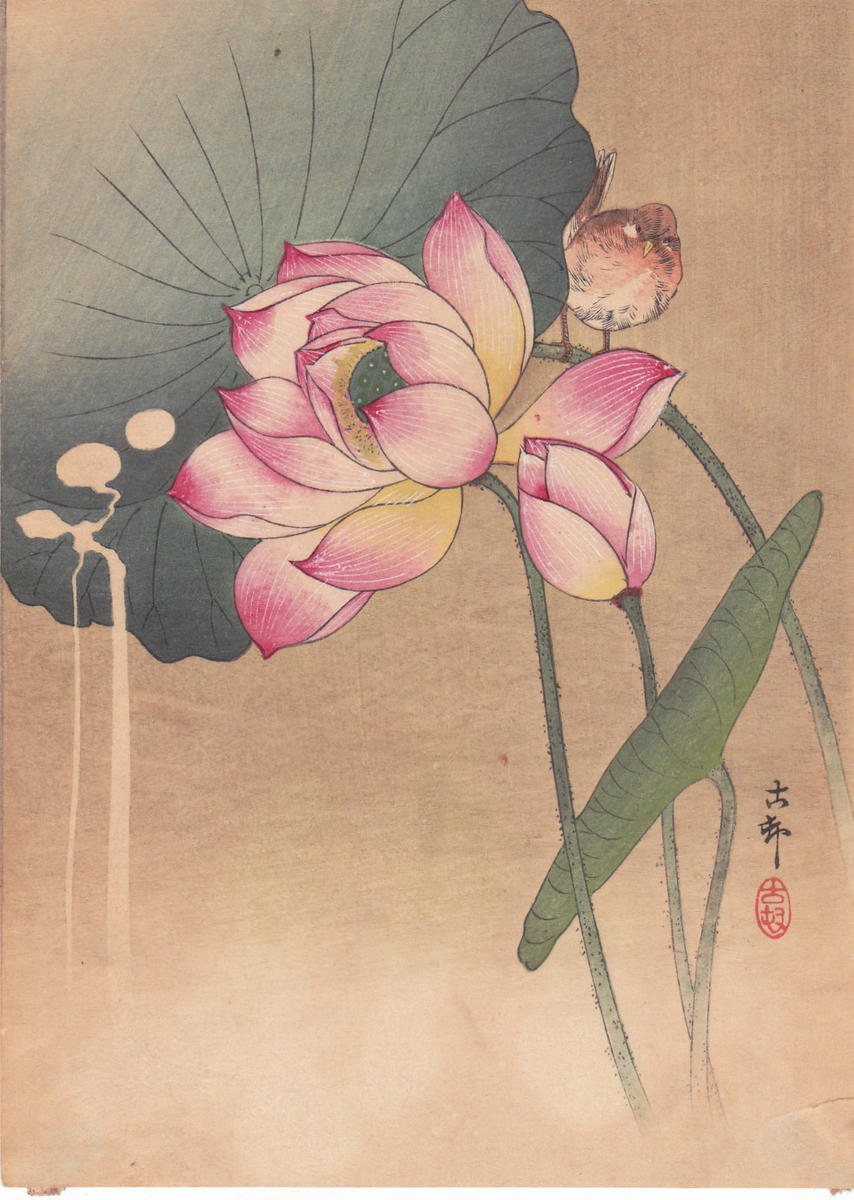 Ohara Koson - Lotus Flower and Finch
