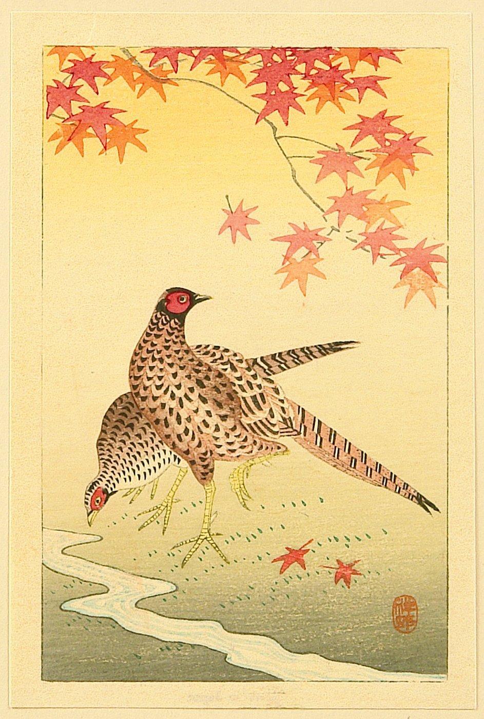 Ohara Koson - Pheasants