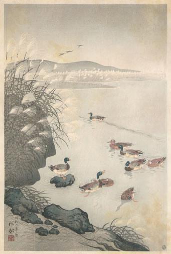 Ohara Koson - Mallards in Coastal Scene