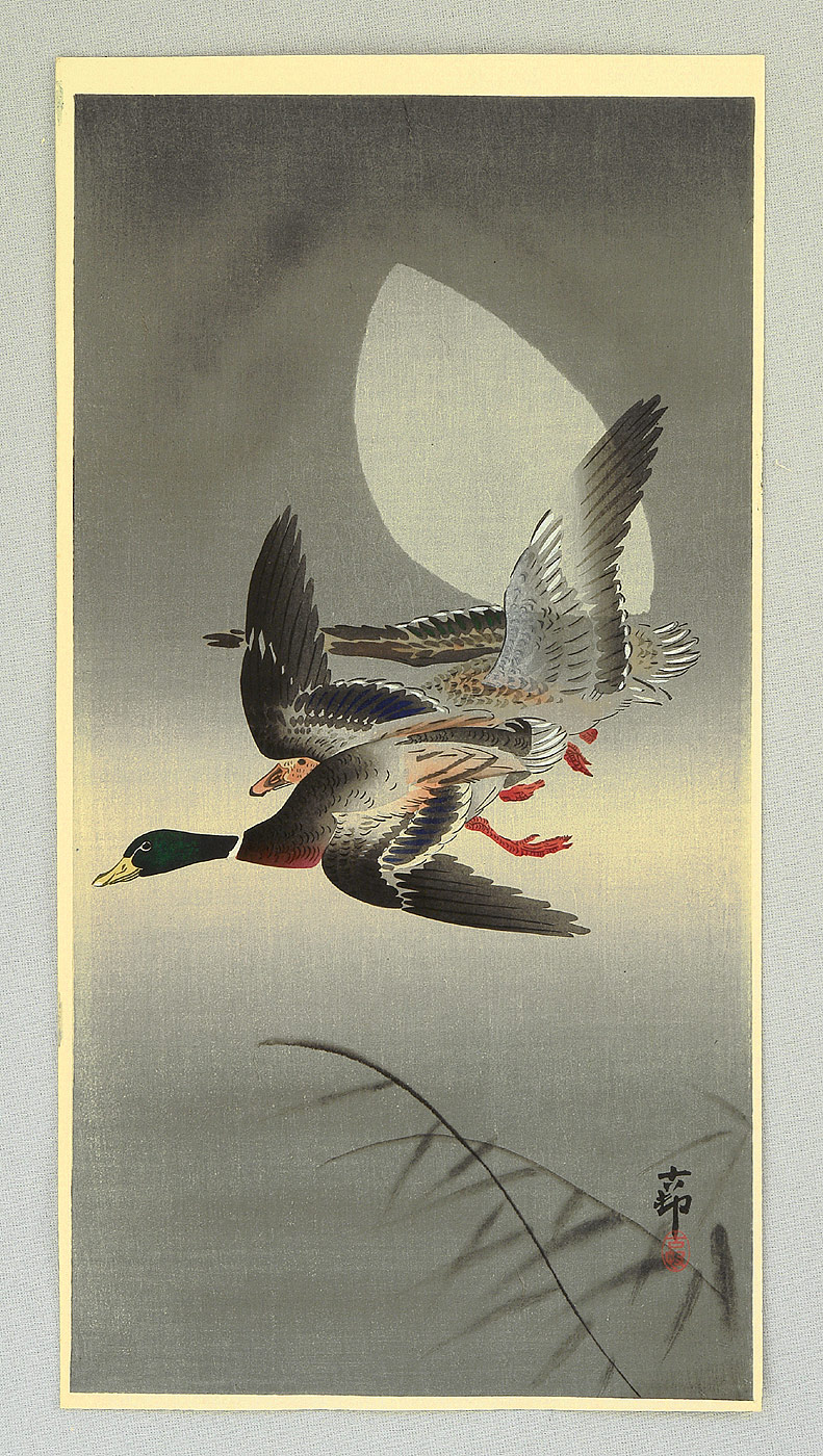 Ohara Koson - Two Mallards