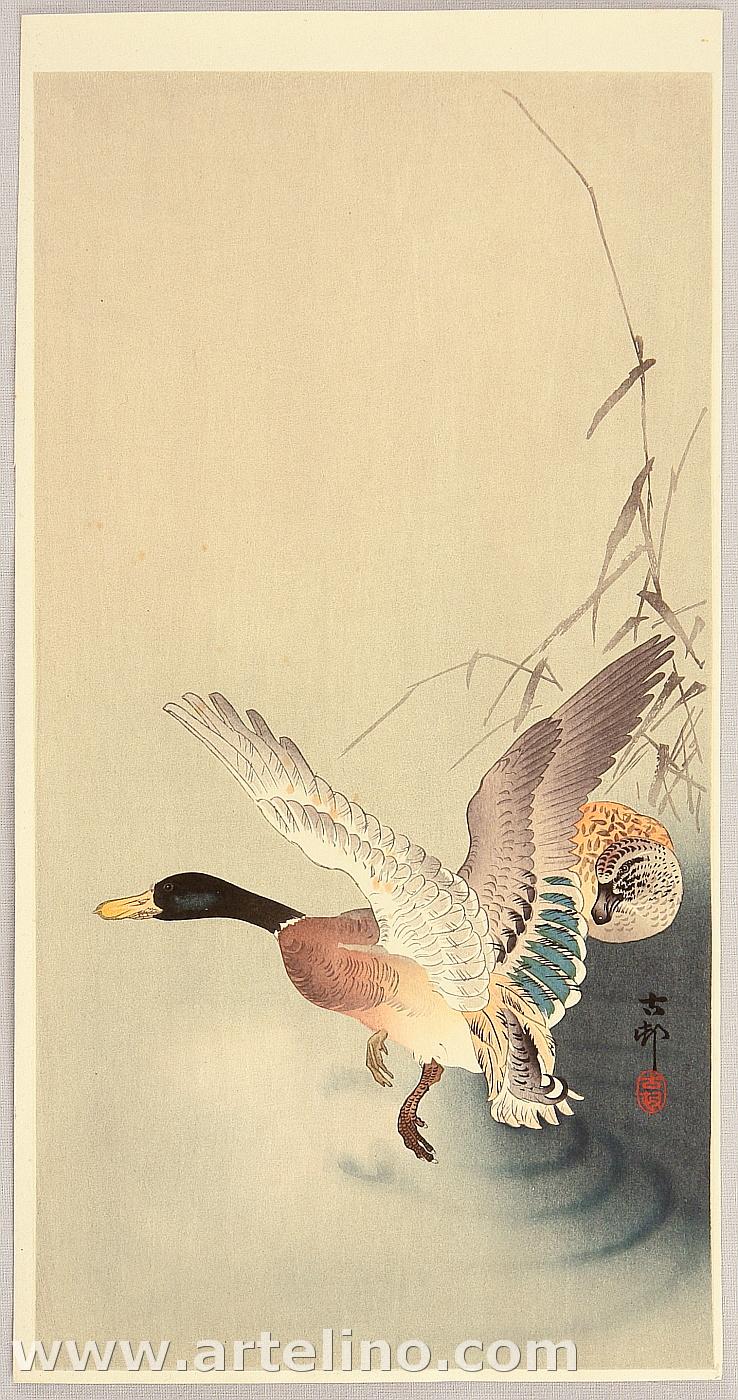 Ohara Koson - Flying Away