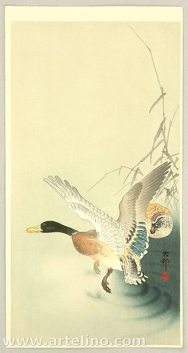 Ohara Koson - Mallard Flying from a Pond