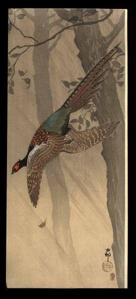 Ohara Koson - Pheasant in flight between trees