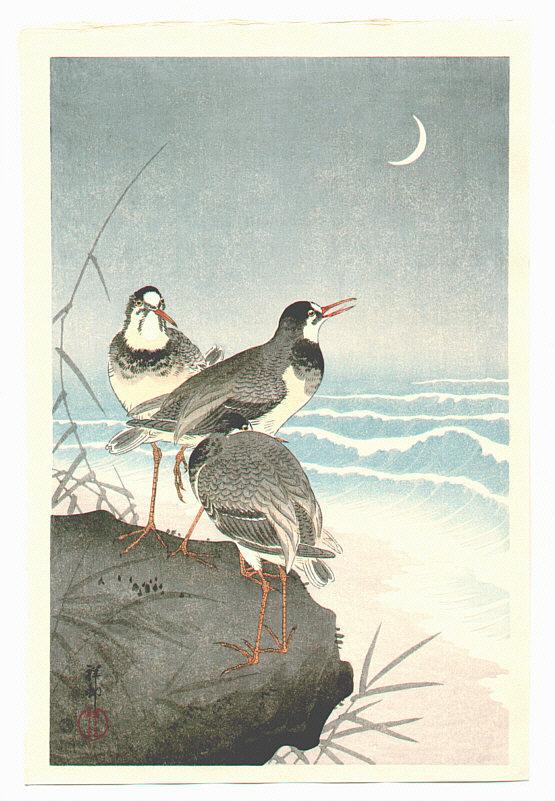 Ohara Koson - Plover near Seaside