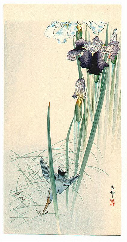 Ohara Koson - Iris and Kingfisher