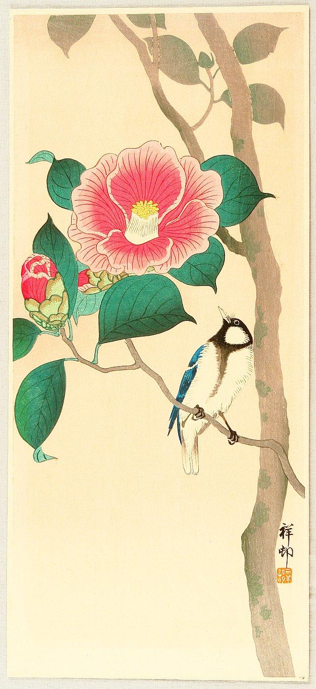 Ohara Koson - Bird on Camellia