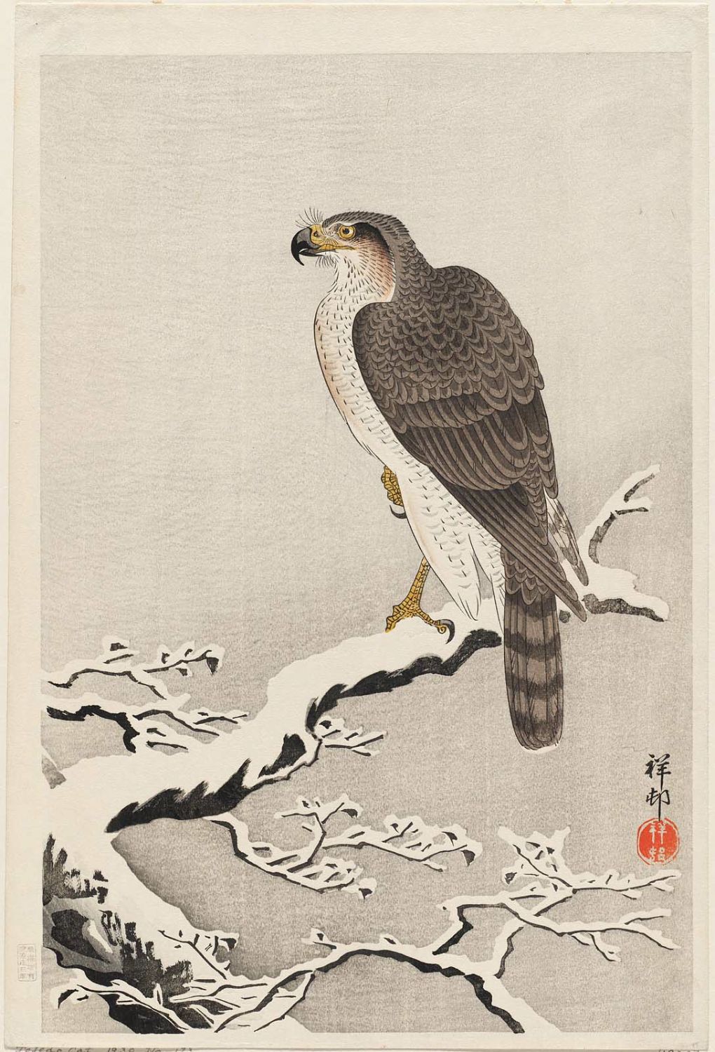 Ohara Koson - Hawk on Snow-covered Branch