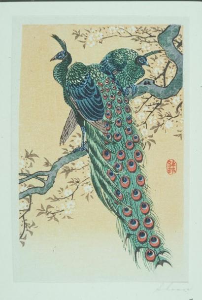 Ohara Koson - Peacocks