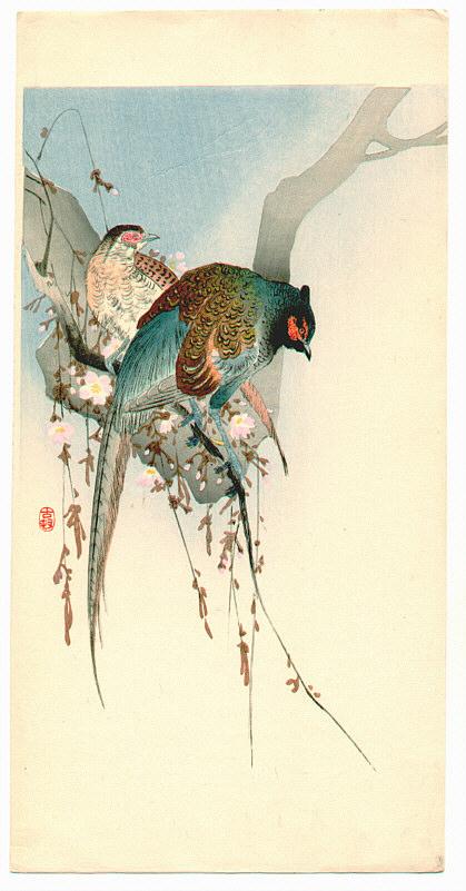 Ohara Koson - Two Pheasants