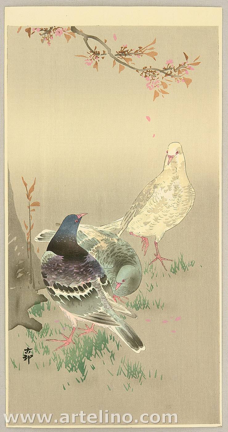 Ohara Koson - Pigeons under Cherry Tree