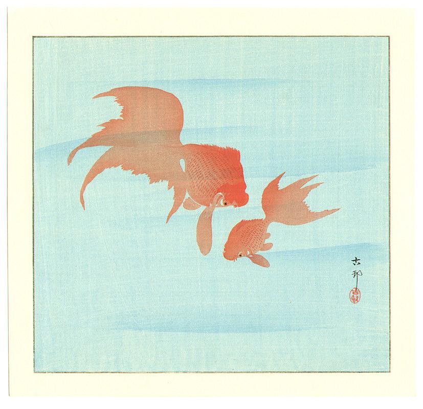 Ohara Koson - Two Gold Fish