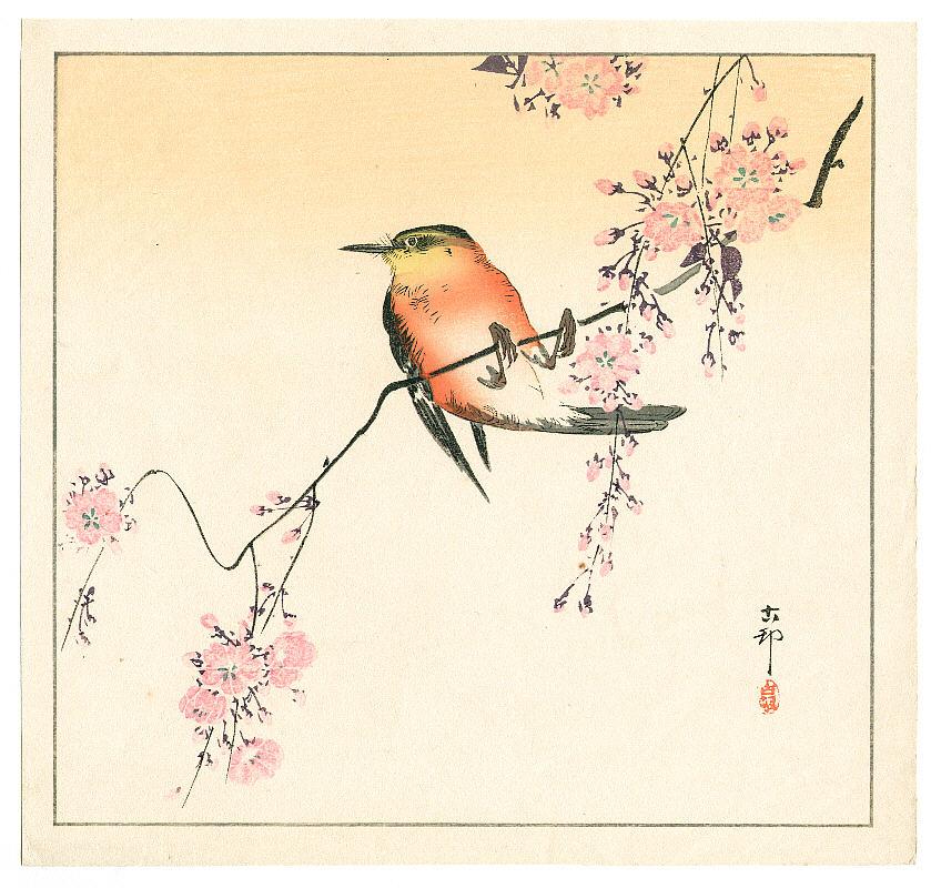 Ohara Koson - Red Bird and Cherry Blossoms