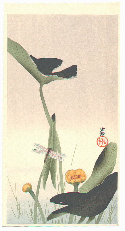 Ohara Koson - Lotus and Dragonfly