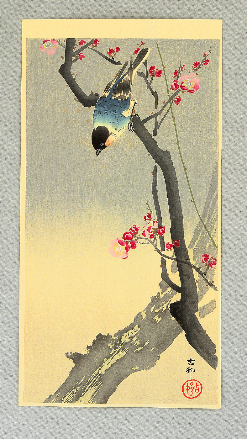 Ohara Koson - Bullfinch on Plum Tree