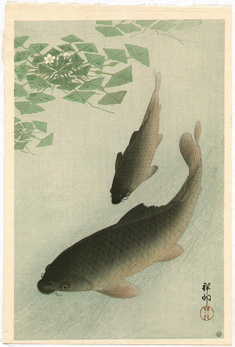 Ohara Koson - Two Carp and Blooming Water Plants