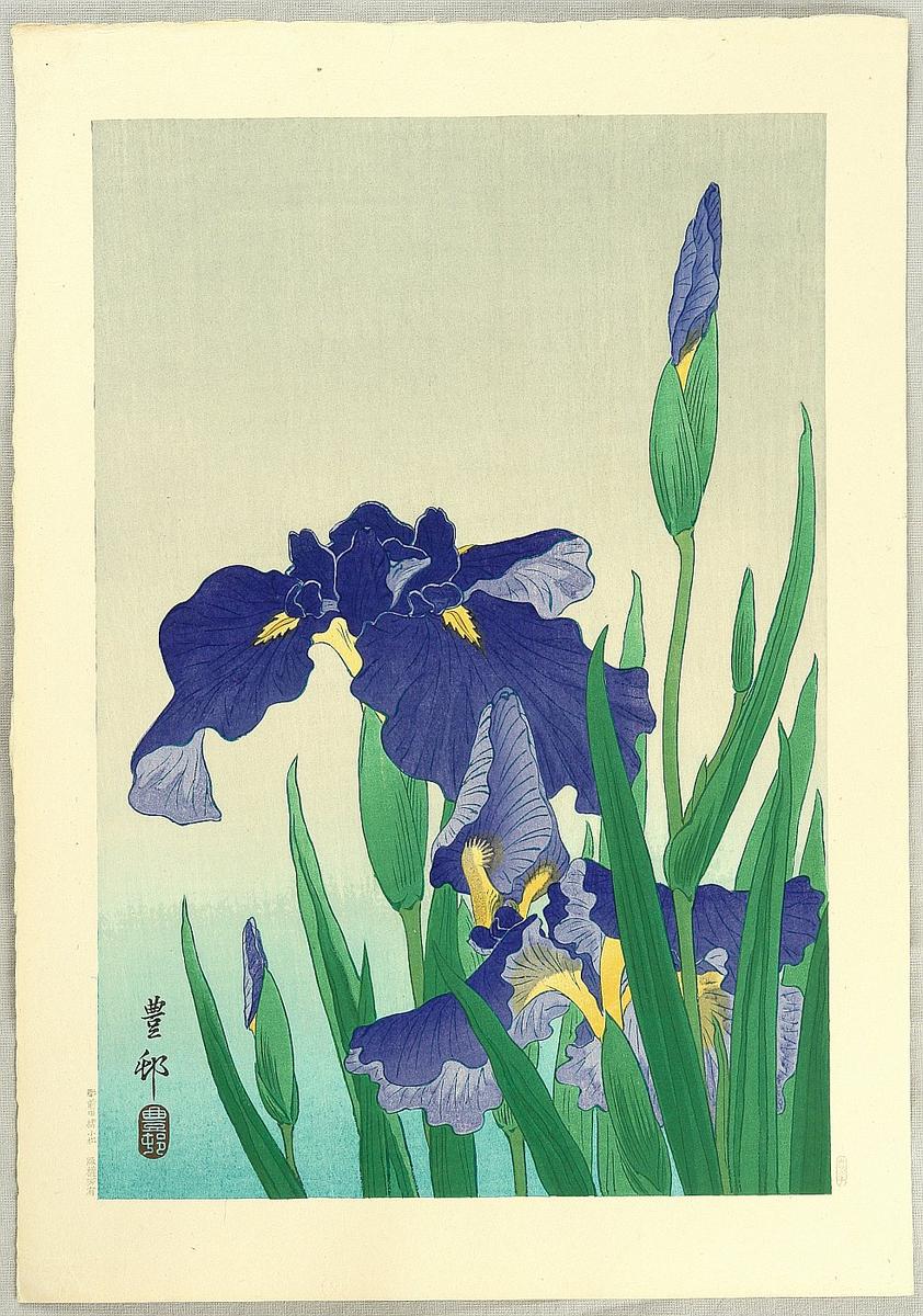 Ohara Koson - Flowering Iris