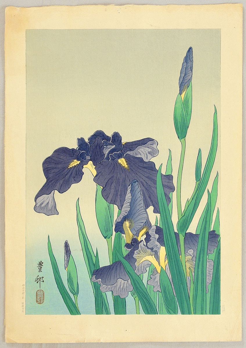 Ohara Koson - Flowering Iris