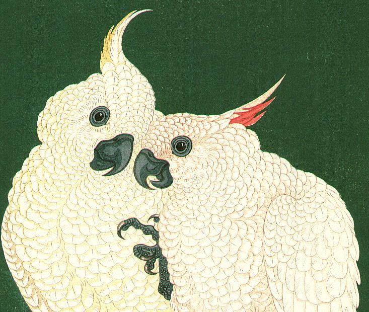 Ohara Koson - Two White Cockatoos on a Red Bar