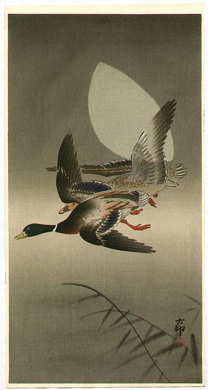 Ohara Koson - Two Mallards