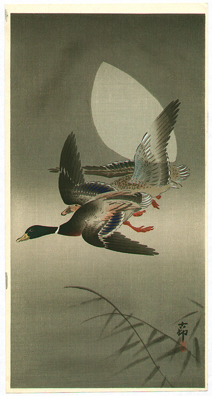 Ohara Koson - Two Mallards