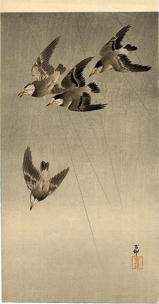 Ohara Koson - Starlings in flight