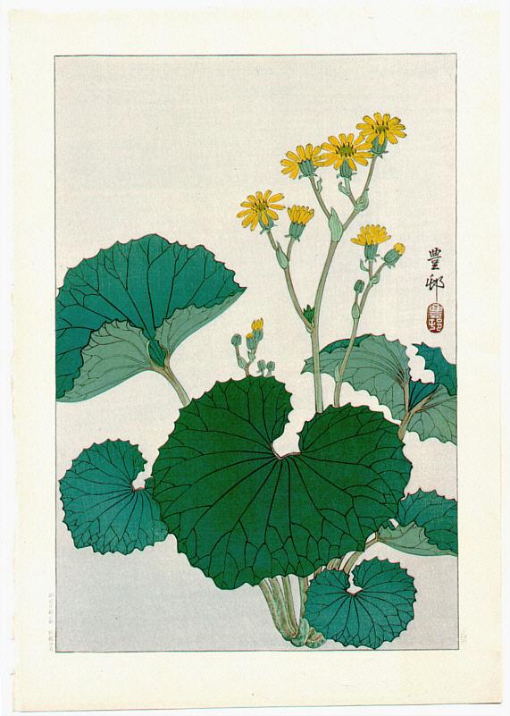 Ohara Koson - Liqularia (Muller Collection)