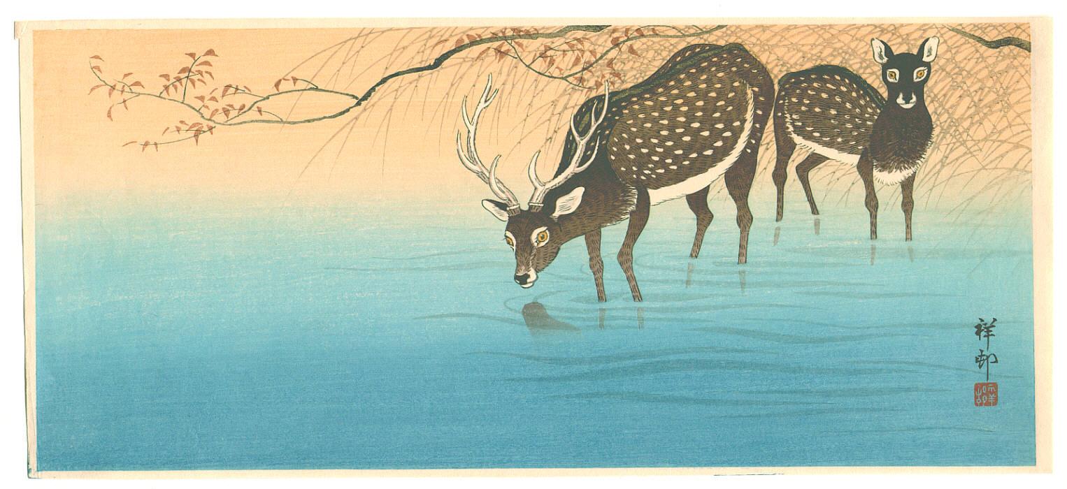 Ohara Koson - Deer in Shallow Water