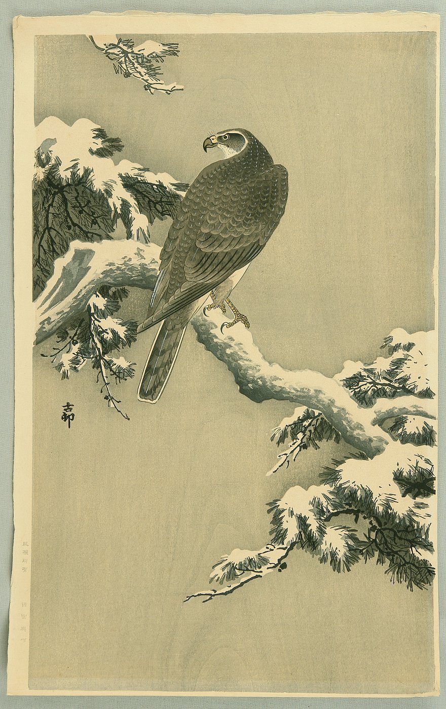 Ohara Koson - Goshawk on a Snow Covered Pine Branch