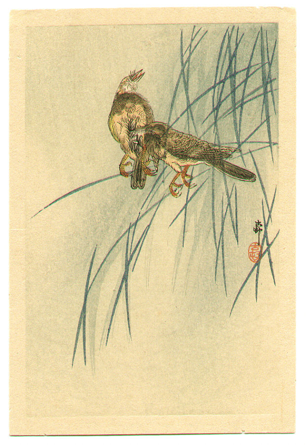 Ohara Koson - Two Birds