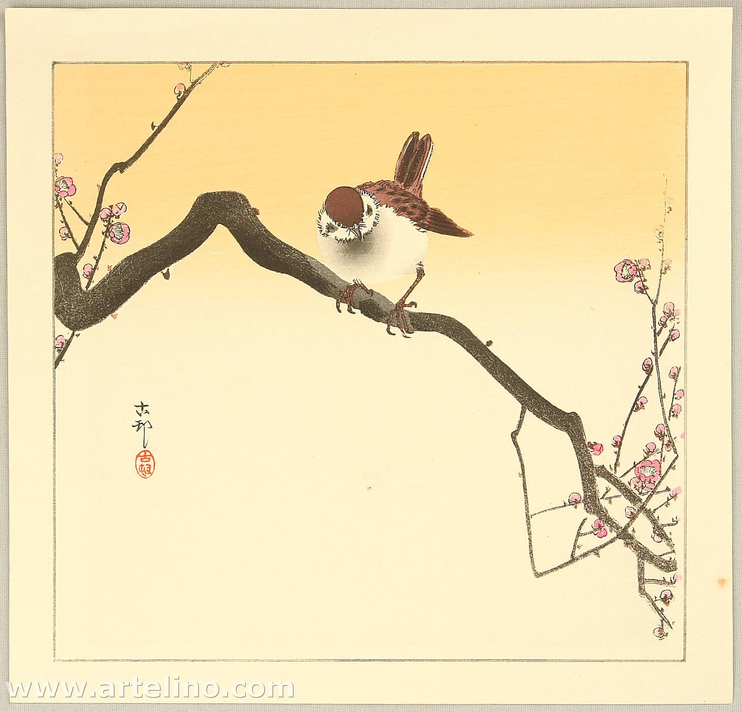 Ohara Koson - Sparrow on Plum Branch