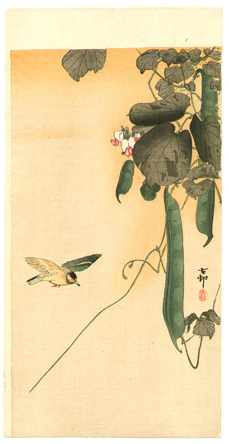 Ohara Koson - Hummingbird and Green Beans