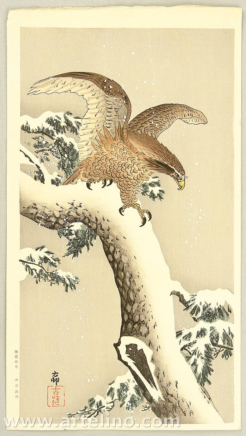 Ohara Koson - Eagle