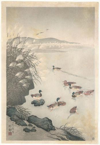 Ohara Koson - Mallards in Coastal Scene