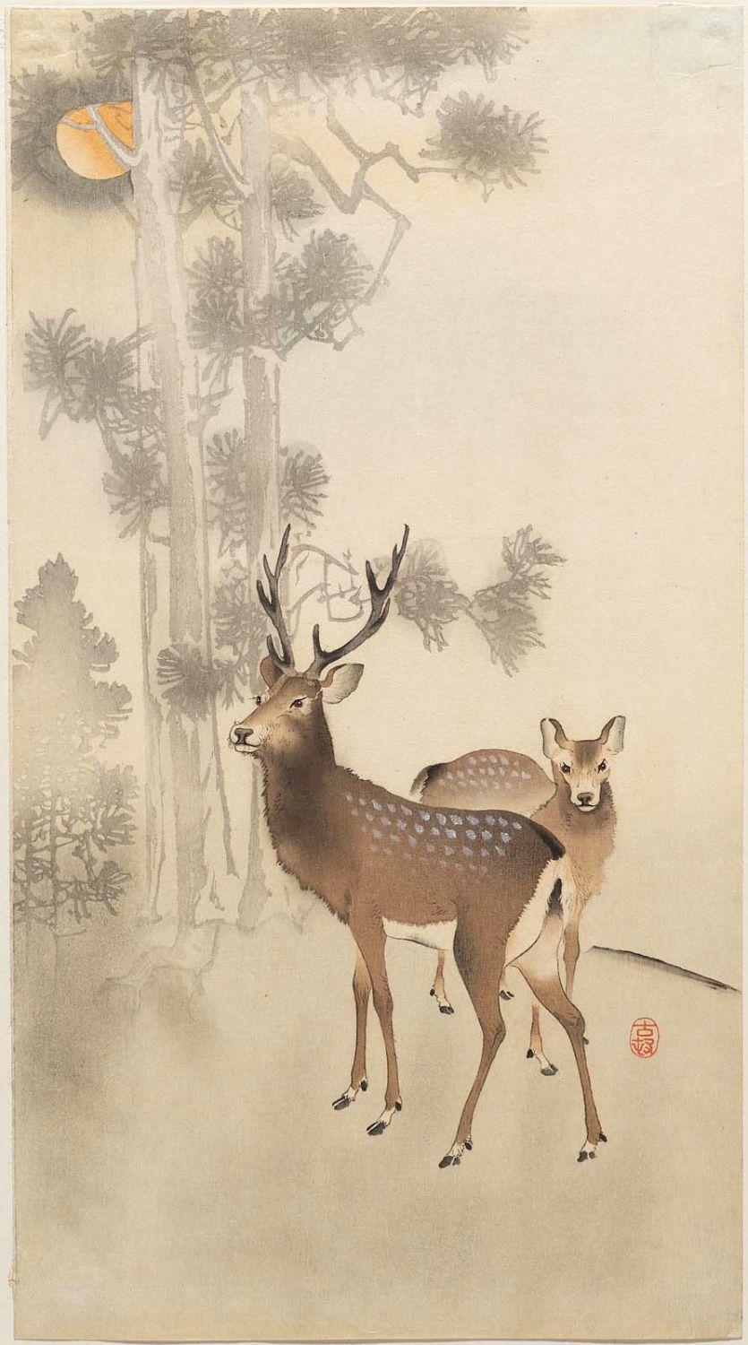 Ohara Koson - Two deer, pine and moon