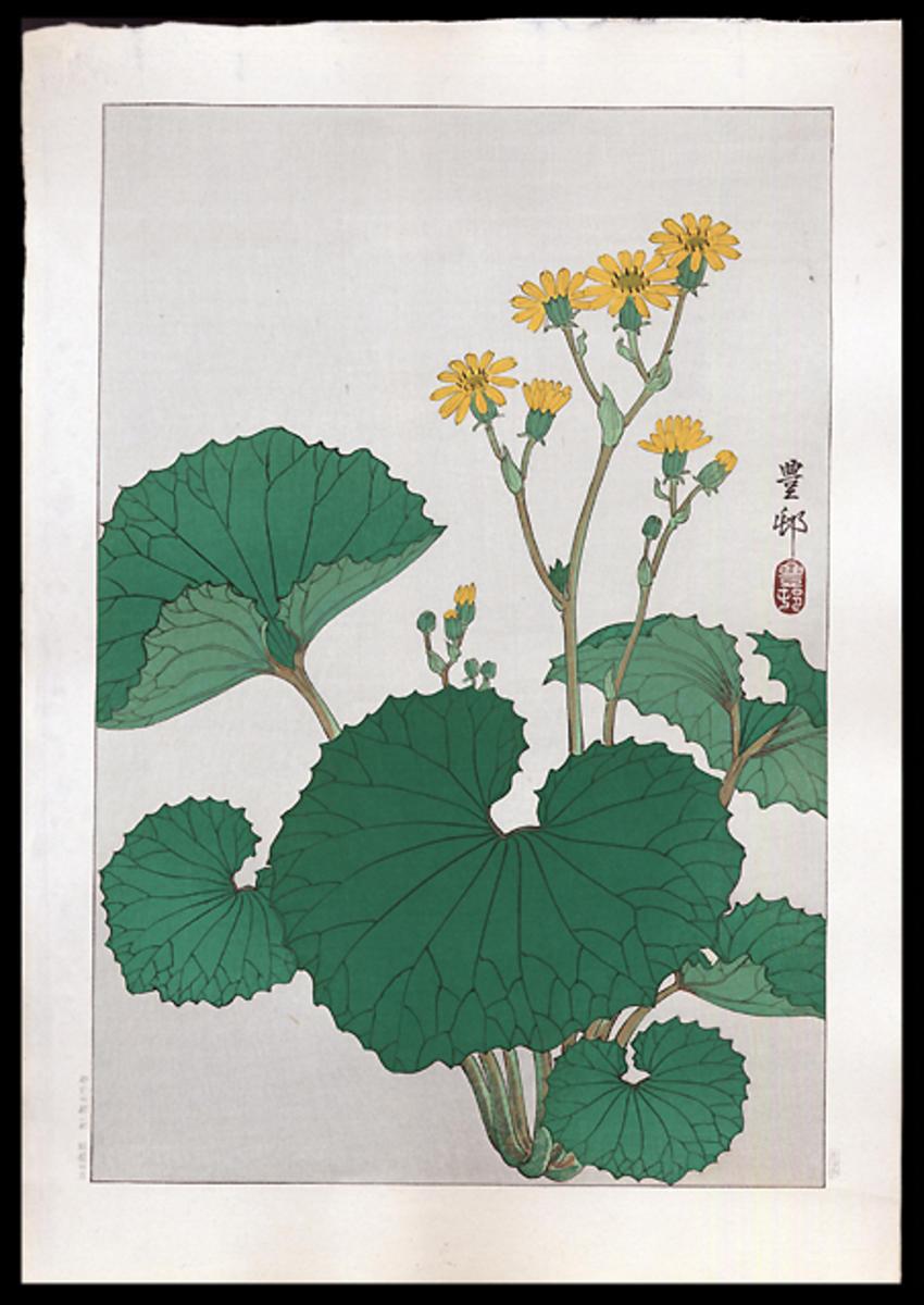 Ohara Koson - Ligularia