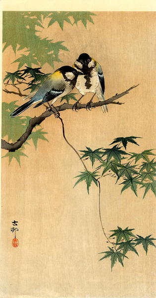 Ohara Koson - Tits on Maple