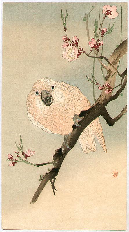 Ohara Koson - Parrot and Plum