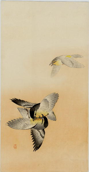 Ohara Koson - Three Tits