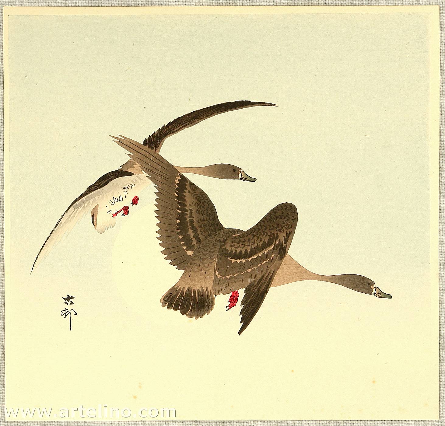 Ohara Koson - Two Wild Geese