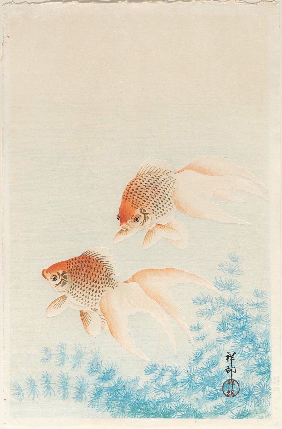 Ohara Koson - Two Goldfish