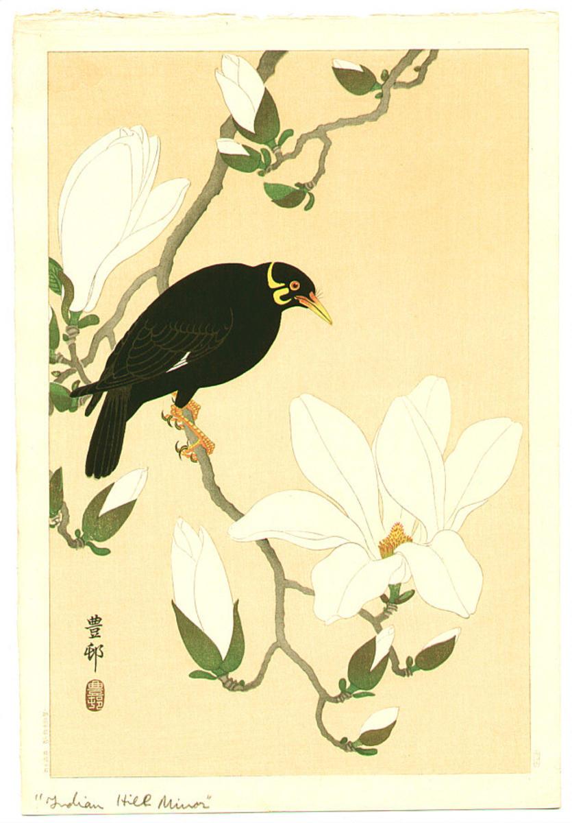 Ohara Koson - Myna bird- Indian Hill Minor and Magnolia