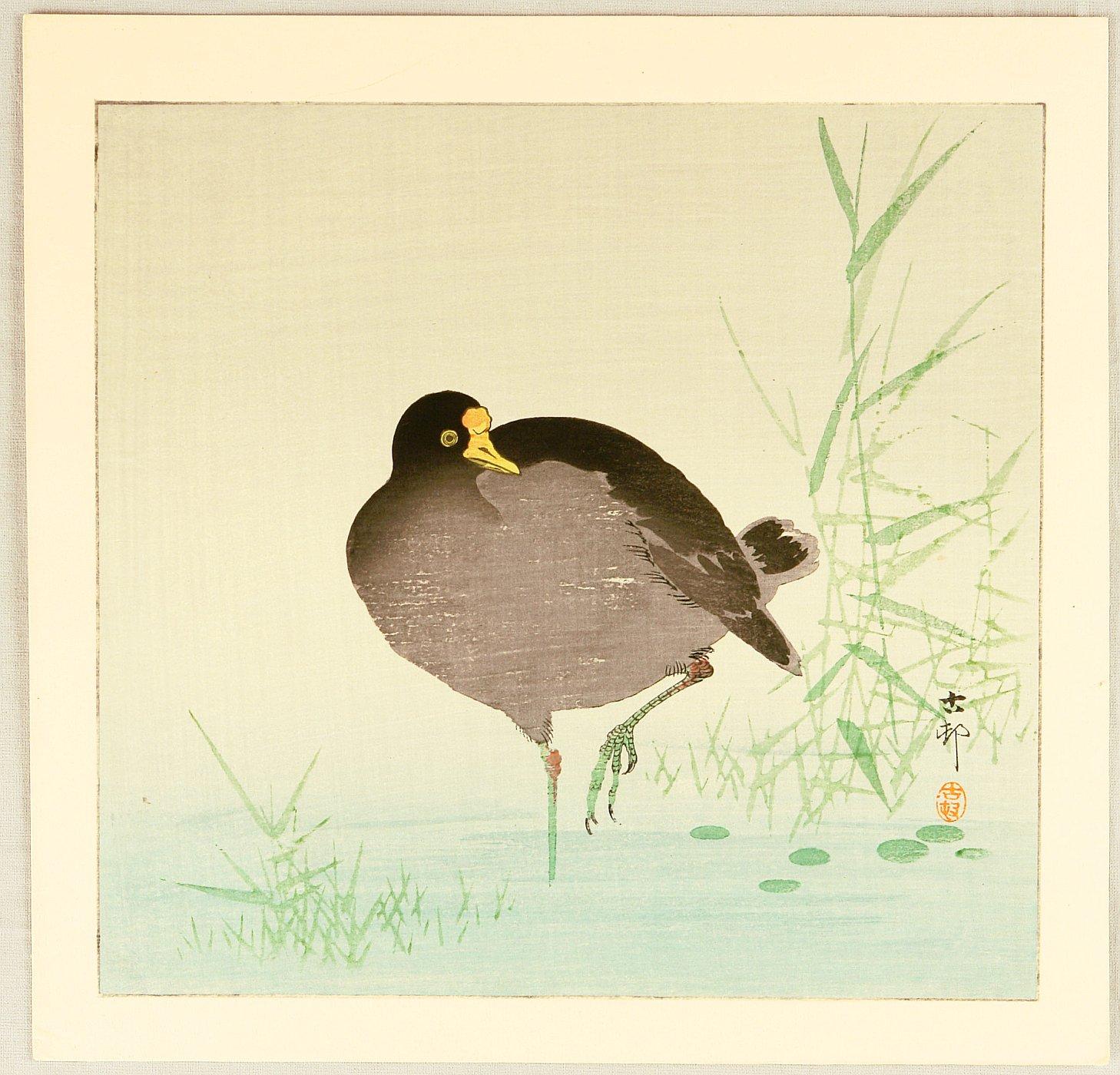 Ohara Koson - Moorhen