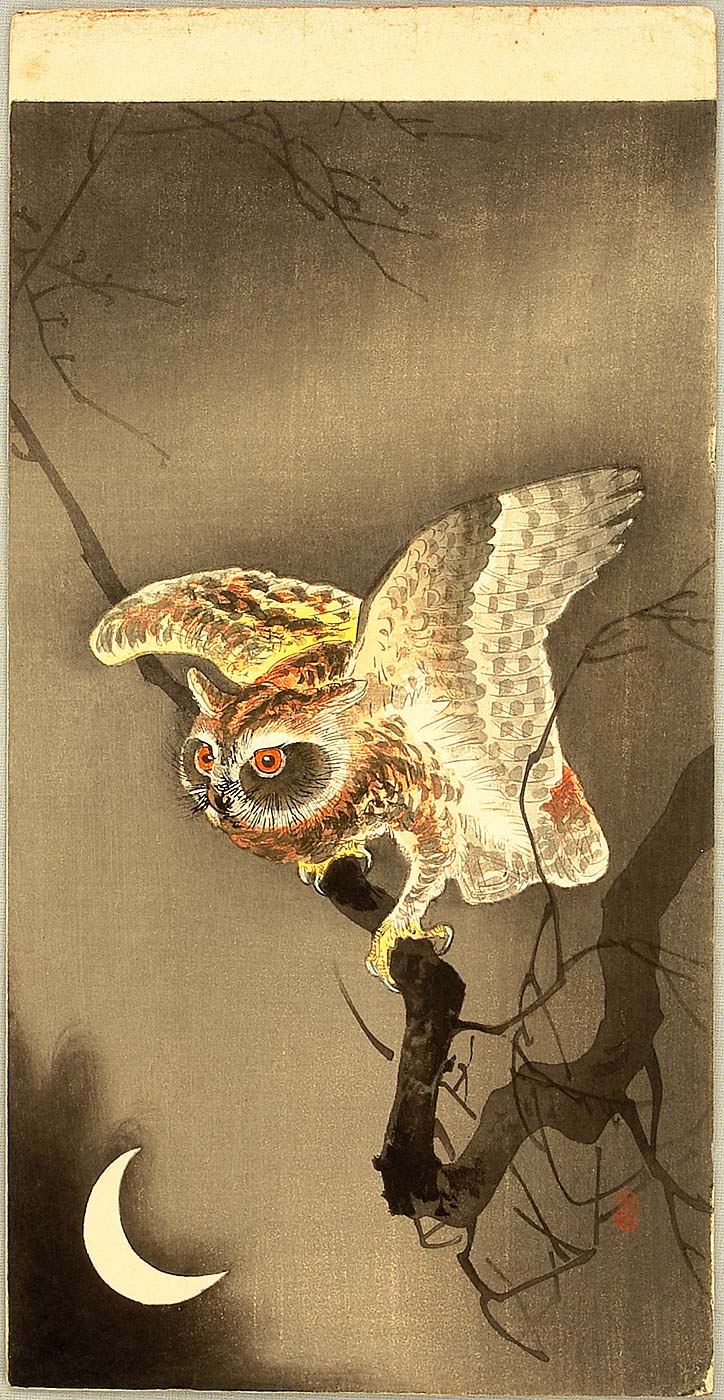 Ohara Koson - Owl and Crescent Moon